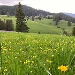 Coop Rozhen