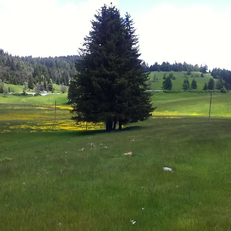 Coop Rozhen Hotel 3*