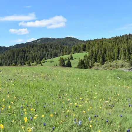 酒店 Coop Rozhen 潘波洛沃