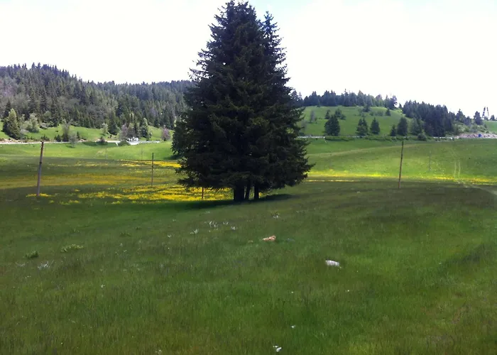 Coop Rozhen Hotel 3*