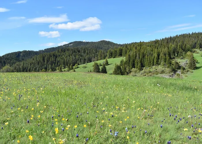 Hotel Coop Rozhen Pamporowo